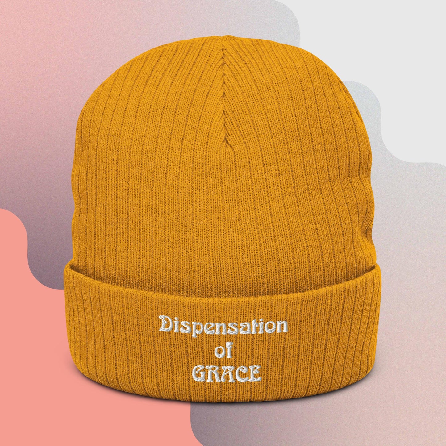 Dispensation Ribbed knit beanie